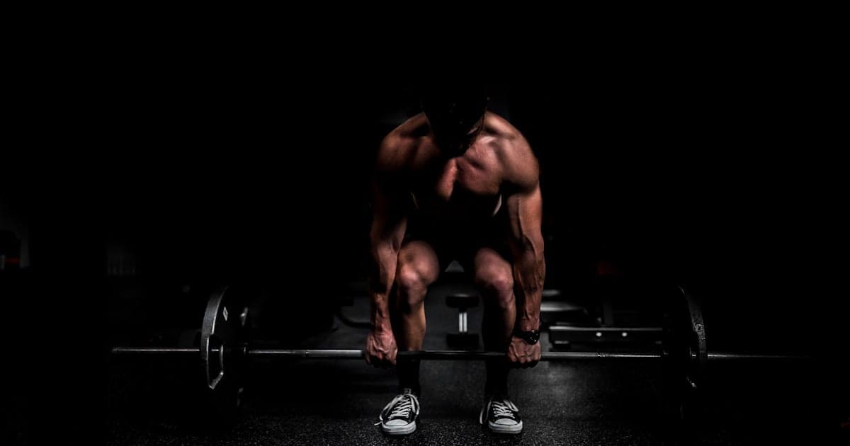 Cover image for Push Pull Legs (PPL): La Guía Completa