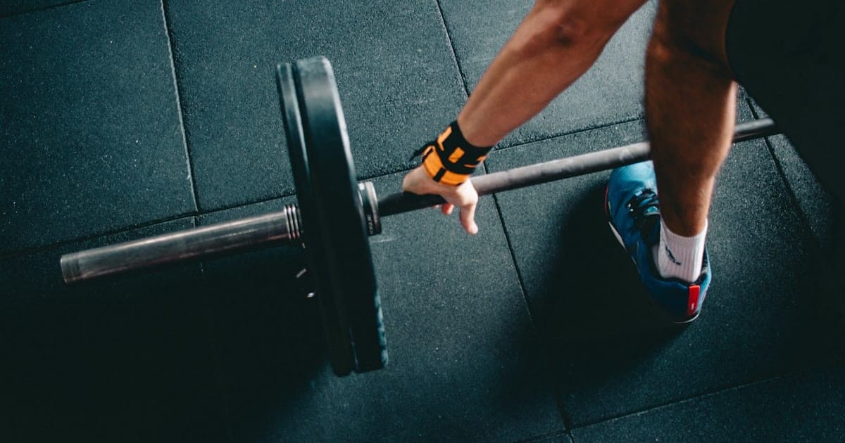 The Complete Guide to Functional Fitness Training