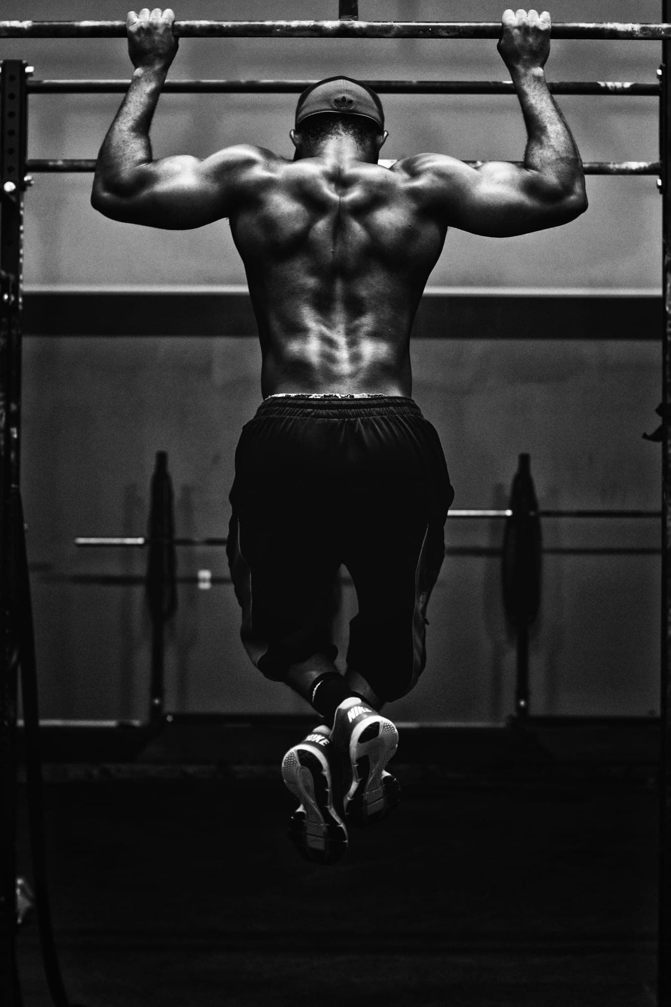 White-Label Fitness App: Launch Your Own Branded App in 2026