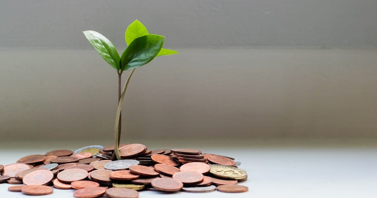 How personal trainers can increase their income in 2025